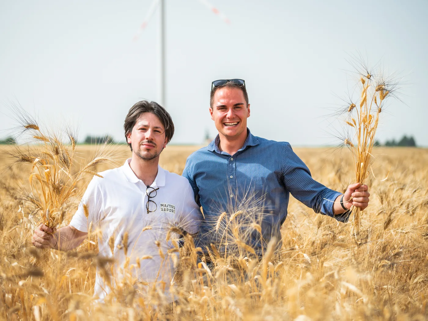 Two people from the Mastro Sapore team in a wheat field, holding ears of wheat